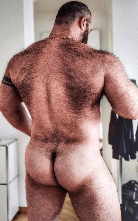 Album by Nastyredneckpig with the username @Nastyredneckpig, who is a verified user,  January 2, 2024 at 4:41 PM. The post is about the topic Gay Rednecks and the text says 'just love me some Hairy Men'