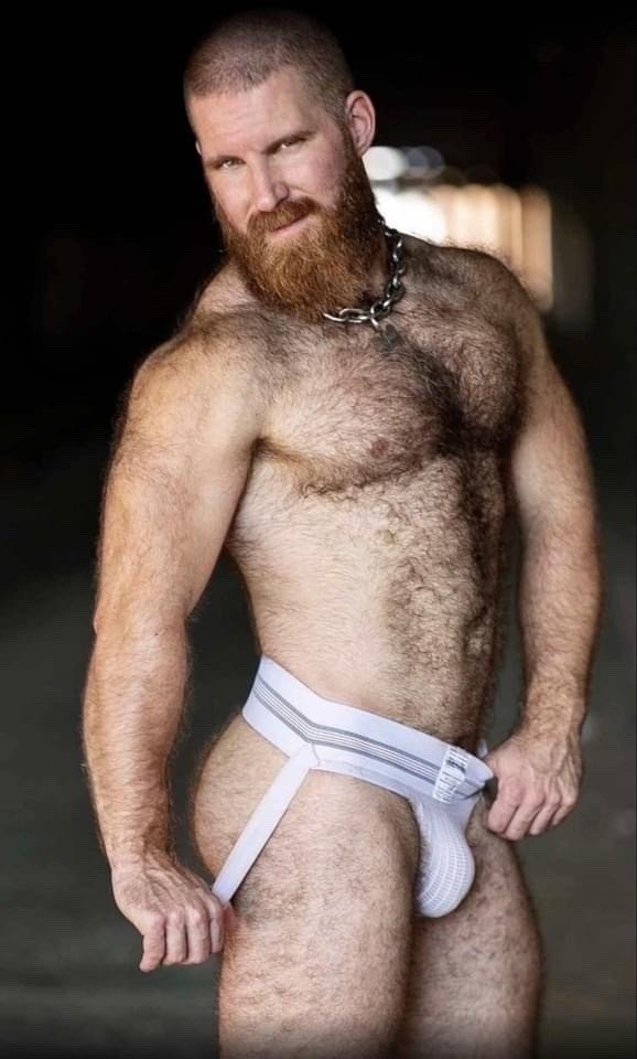 Album by Nastyredneckpig with the username @Nastyredneckpig, who is a verified user,  January 2, 2024 at 4:41 PM. The post is about the topic Gay Rednecks and the text says 'just love me some Hairy Men'