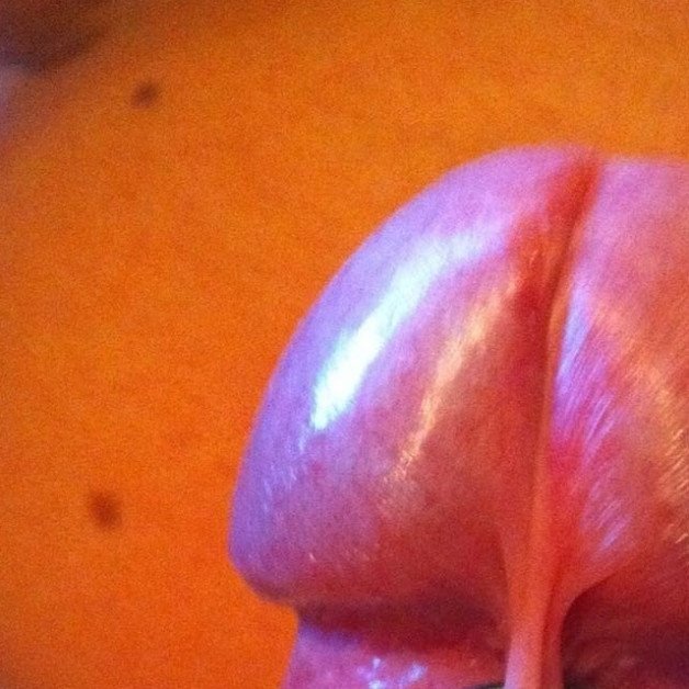 Photo by LOVE_MATURE_WOMANS with the username @Topic08082211,  June 15, 2024 at 8:42 AM and the text says 'Who would like to ride or suck this cock?'