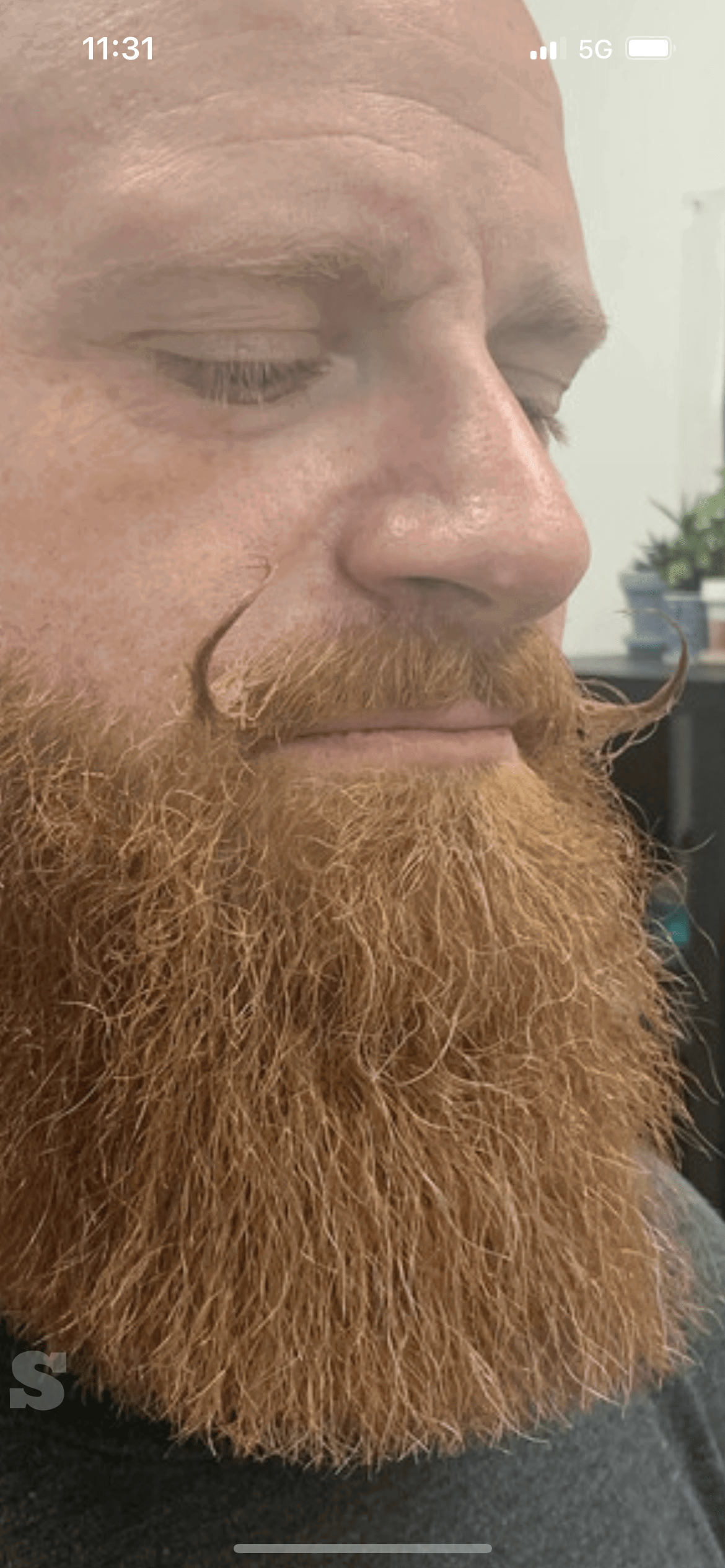 Photo by DirtyDaddyFunStuff with the username @DirtyDaddyPorn, who is a verified user,  May 7, 2024 at 10:55 PM and the text says '#ginger #daddy #bear #hairy #beards #redheads #bald #cute #mustache'