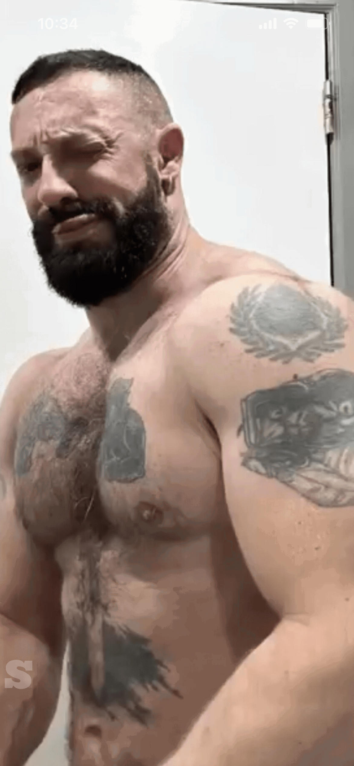 Photo by DirtyDaddyFunStuff with the username @DirtyDaddyPorn, who is a verified user,  February 13, 2024 at 7:06 PM and the text says '#hunky #hairy #muscle #bears and #daddies #tats'