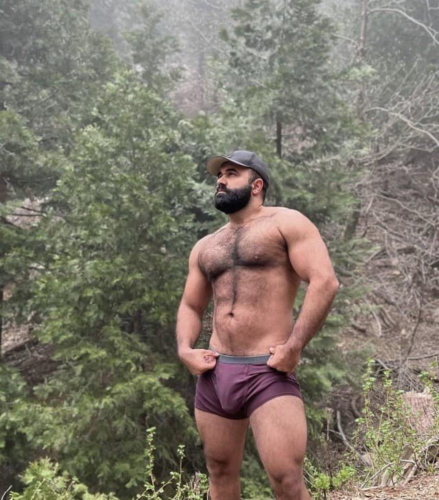 Album by DirtyDaddyFunStuff with the username @DirtyDaddyPorn, who is a verified user,  January 28, 2024 at 12:50 AM and the text says 'Hot and #hairy Studs'