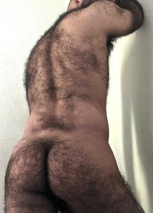 Photo by DirtyDaddyFunStuff with the username @DirtyDaddyPorn, who is a verified user,  February 12, 2024 at 12:34 AM and the text says '#hunky and #hairy 4'
