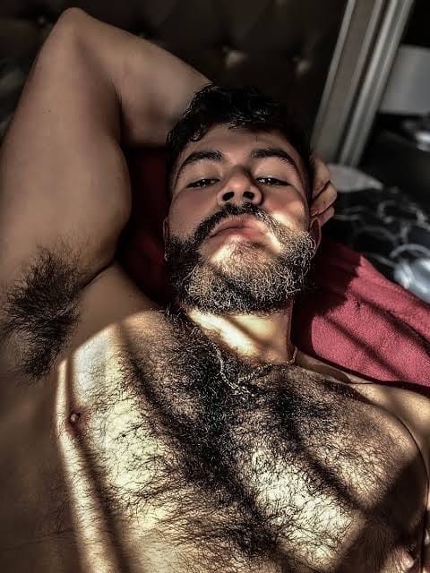 Album by DirtyDaddyFunStuff with the username @DirtyDaddyPorn, who is a verified user,  January 25, 2024 at 1:10 AM and the text says 'Hairy hunks 2'