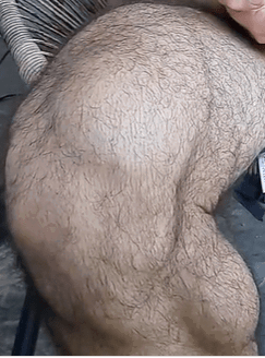 Watch the Photo by DirtyDaddyFunStuff with the username @DirtyDaddyPorn, who is a verified user, posted on February 15, 2024 and the text says 'Hairy hunks.  #daddies #cum #cumshots #hung #bears #beefy #public'