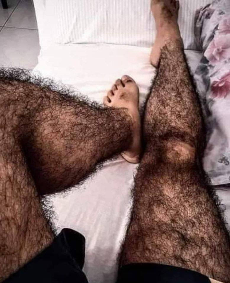 Photo by DirtyDaddyFunStuff with the username @DirtyDaddyPorn, who is a verified user,  April 1, 2024 at 9:08 PM and the text says '#hung and #hairy #otters #beards #ginger #stubble #muscles'