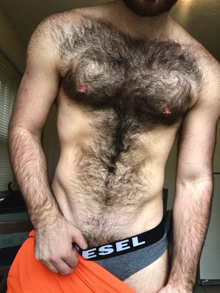 Album by DirtyDaddyFunStuff with the username @DirtyDaddyPorn, who is a verified user,  June 30, 2024 at 8:56 PM and the text says '#hairy #manly #muscles #butch #mustache #furry  #daddy'