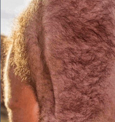 Watch the Photo by DirtyDaddyFunStuff with the username @DirtyDaddyPorn, who is a verified user, posted on January 22, 2024 and the text says 'Butch and #hairy #armpits #stubble #hung'