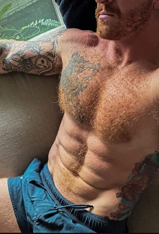 Photo by DirtyDaddyFunStuff with the username @DirtyDaddyPorn, who is a verified user,  April 29, 2024 at 1:10 AM and the text says 'Stud 8 #bears and #otters and #hairy and #funny'