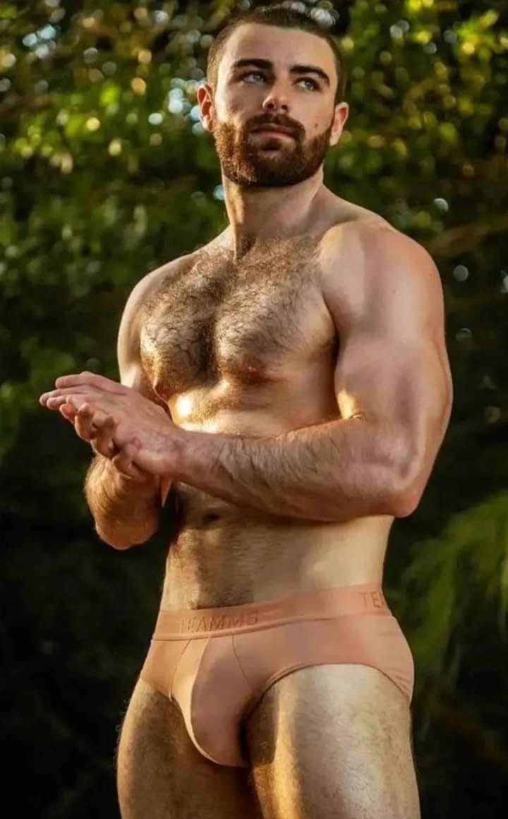 Album by DirtyDaddyFunStuff with the username @DirtyDaddyPorn, who is a verified user,  January 25, 2024 at 1:10 AM and the text says 'Hairy hunks 2'