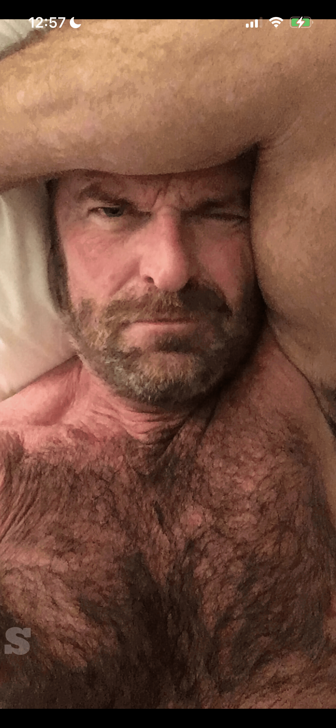 Album by DirtyDaddyFunStuff with the username @DirtyDaddyPorn, who is a verified user,  May 6, 2024 at 8:55 PM and the text says '#armpits #gym #muscles #daddy #hairy #stubble #beards #bigears #bald'