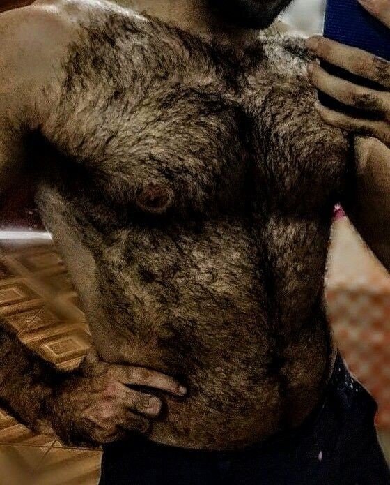Photo by DirtyDaddyFunStuff with the username @DirtyDaddyPorn, who is a verified user,  April 24, 2024 at 1:01 AM and the text says 'Hot Mix 20 #hairy #bears #otters #furry #'
