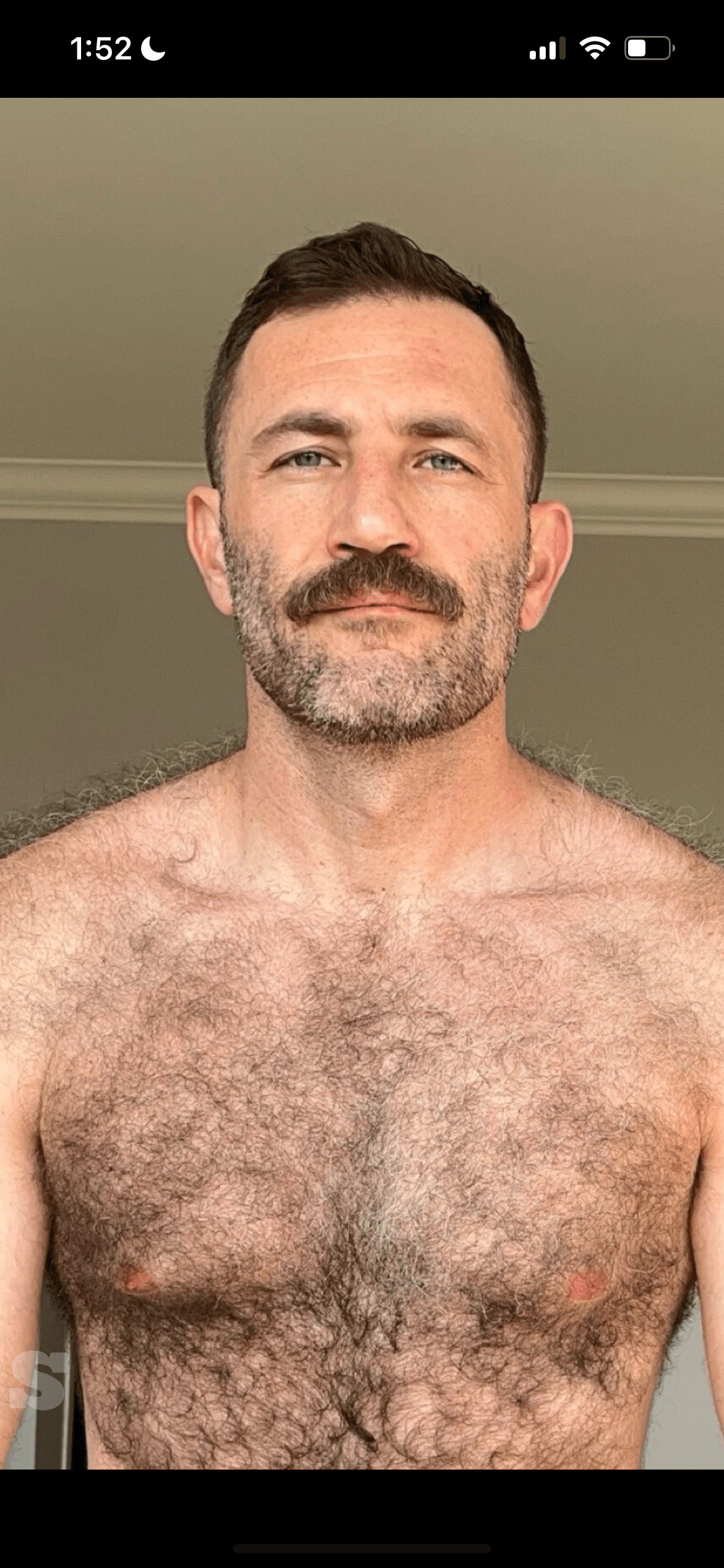 Photo by DirtyDaddyFunStuff with the username @DirtyDaddyPorn, who is a verified user,  April 21, 2024 at 1:23 AM and the text says 'Stunning #hairy #muscle #bear with #pornstache #mustache'