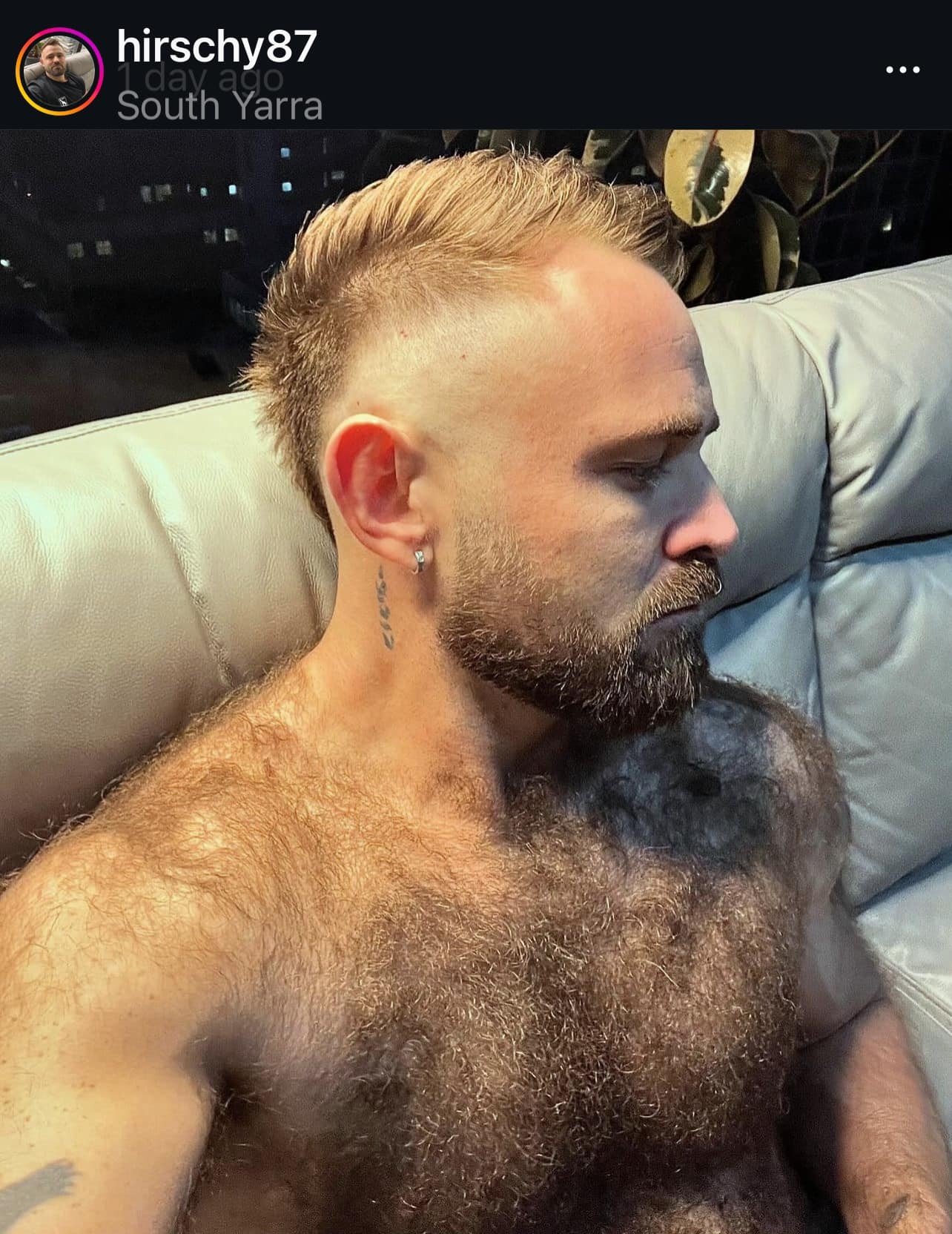 Album by DirtyDaddyFunStuff with the username @DirtyDaddyPorn, who is a verified user,  July 3, 2024 at 11:54 PM and the text says '#hairy #muscles 12'