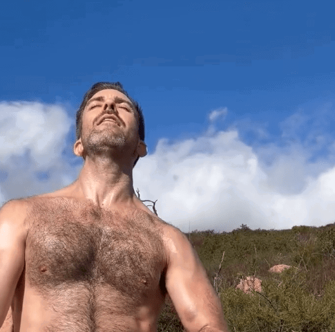 Album by DirtyDaddyFunStuff with the username @DirtyDaddyPorn, who is a verified user,  May 2, 2024 at 8:45 PM and the text says 'Hot 20 #hairy #otters #muscles'