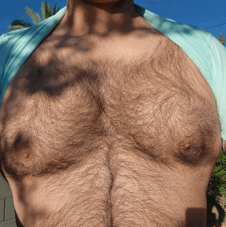 Album by DirtyDaddyFunStuff with the username @DirtyDaddyPorn, who is a verified user,  May 1, 2024 at 11:35 PM and the text says 'Variety #hairy #cock #hung #art #otters'