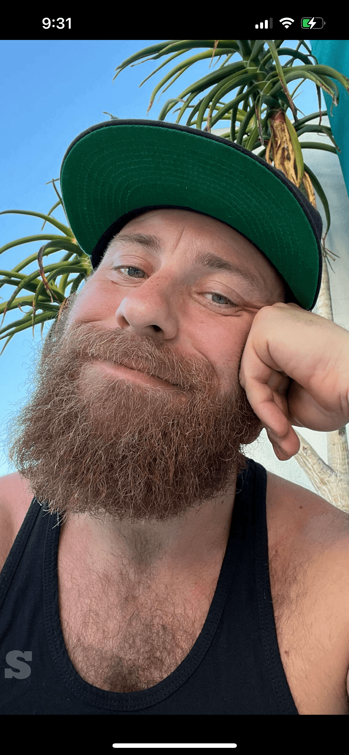 Album by DirtyDaddyFunStuff with the username @DirtyDaddyPorn, who is a verified user,  March 8, 2024 at 1:26 AM and the text says '#hairy Beary!  #bears #otters #beards #leather'