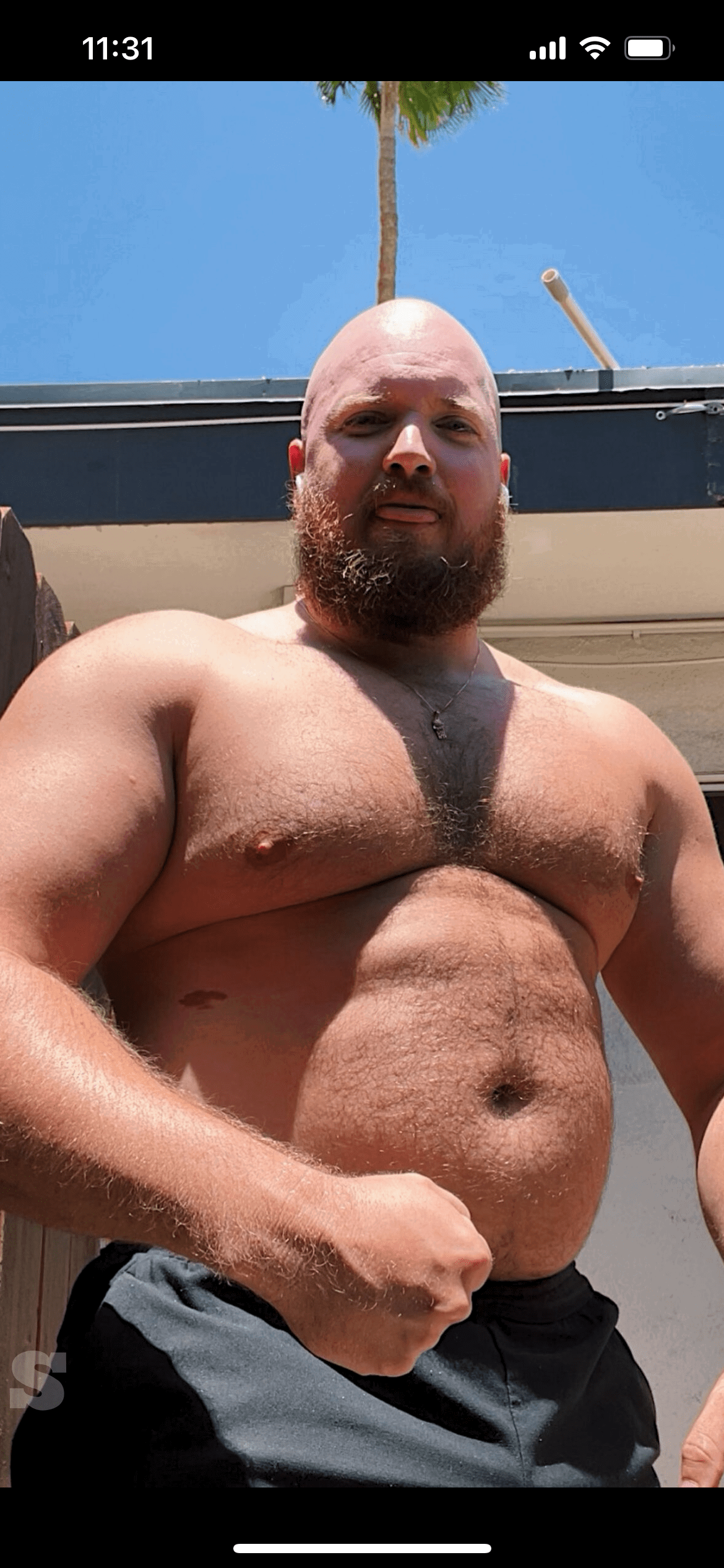 Album by DirtyDaddyFunStuff with the username @DirtyDaddyPorn, who is a verified user,  May 28, 2024 at 12:03 AM and the text says 'Hot Variety #muscles #gingers #beards'