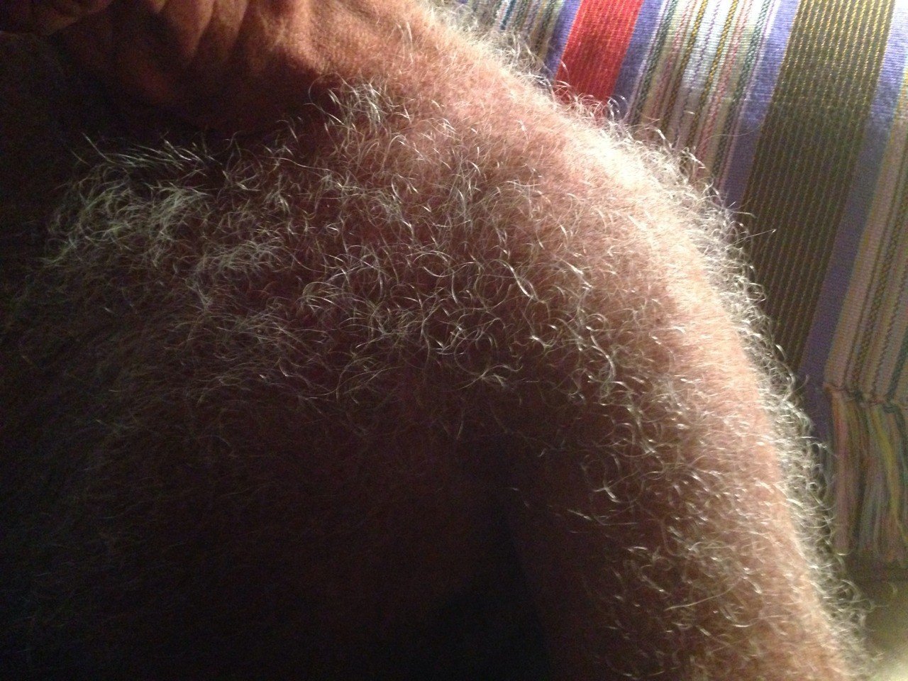 Album by DirtyDaddyFunStuff with the username @DirtyDaddyPorn, who is a verified user,  May 28, 2024 at 12:06 AM and the text says '#werewolf #hairy #furry'