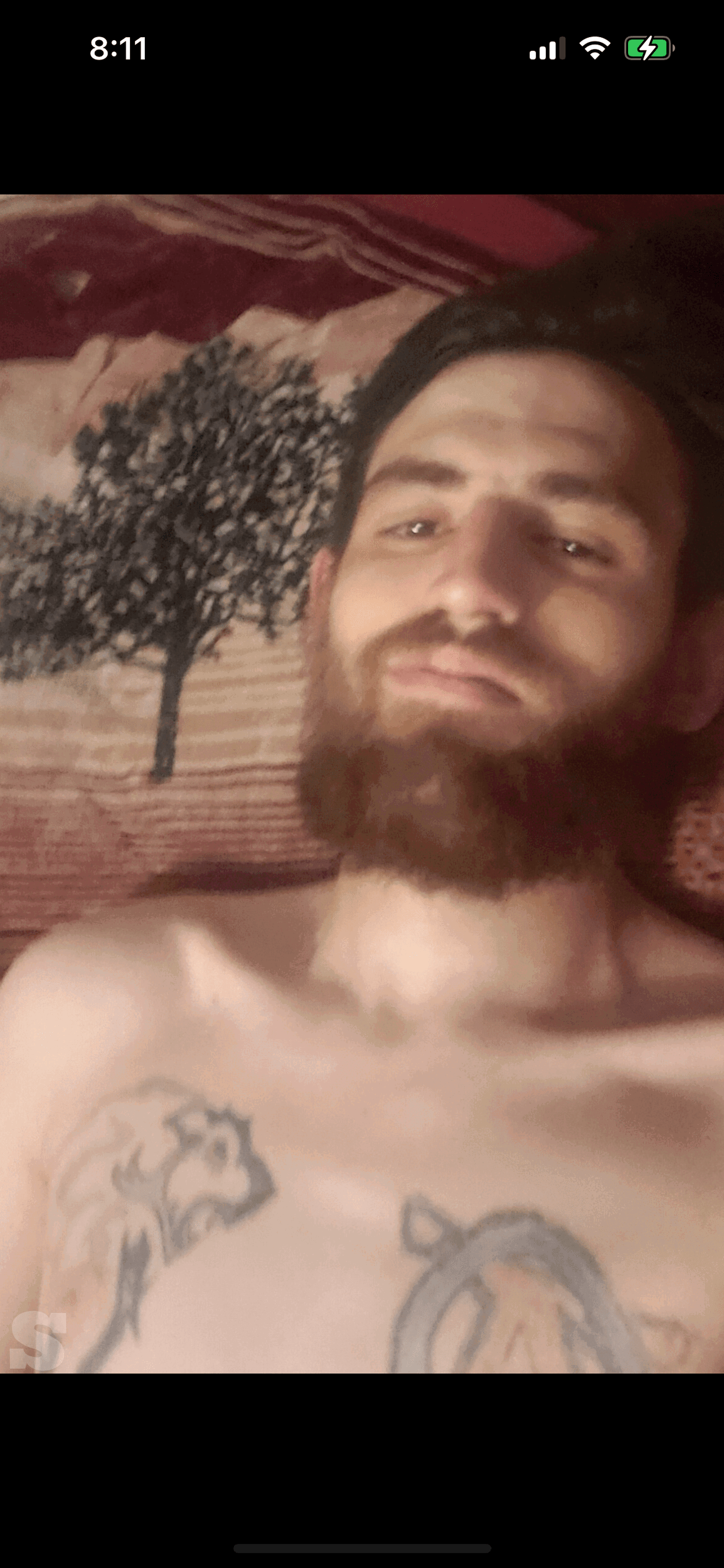 Photo by DirtyDaddyFunStuff with the username @DirtyDaddyPorn, who is a verified user,  April 29, 2024 at 9:09 PM and the text says '#hairy #muscle and #furry #otters #daddy #beards'