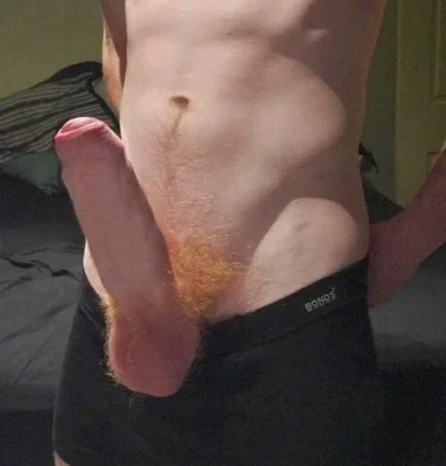 Photo by DirtyDaddyFunStuff with the username @DirtyDaddyPorn, who is a verified user,  April 14, 2024 at 6:20 PM and the text says 'MONSTER GINGER COCK !  #ginger #redhead #hung #horsehung #monstercock #abs #uncut'