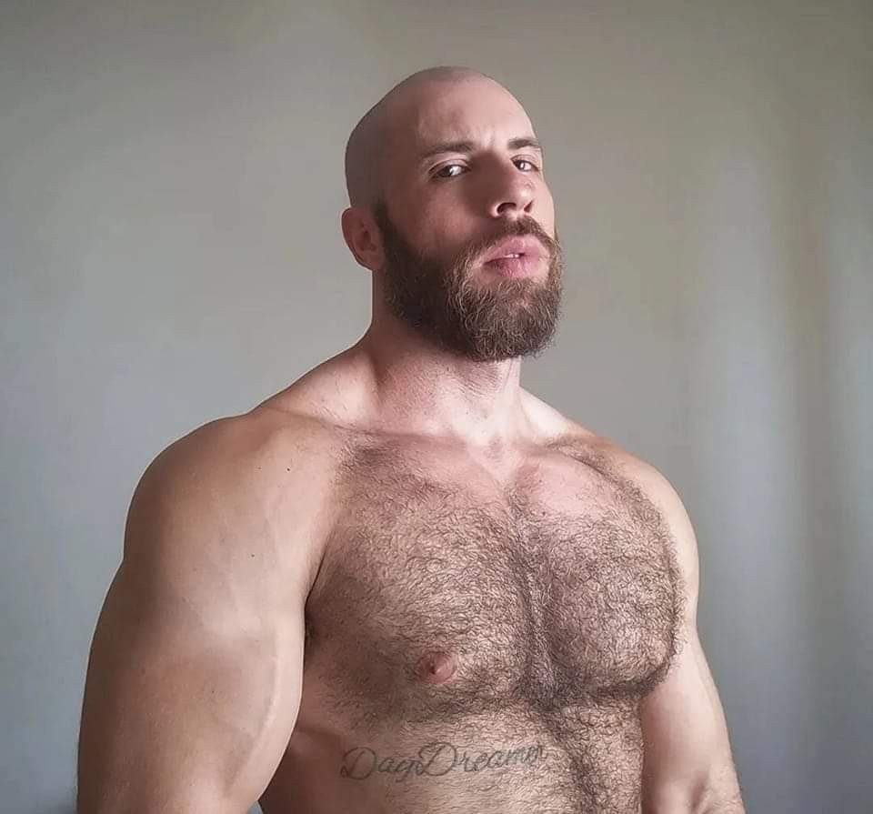 Album by DirtyDaddyFunStuff with the username @DirtyDaddyPorn, who is a verified user,  February 14, 2024 at 6:49 PM and the text says '#buff #hairy #muscle #daddies'