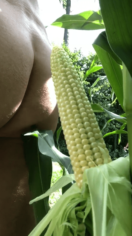 Photo by DirtyDaddyFunStuff with the username @DirtyDaddyPorn, who is a verified user,  April 30, 2024 at 10:39 PM and the text says '#Cornhole #fucking #foodfuck #fuck #ass #anal #public #nature #farm #farmer'