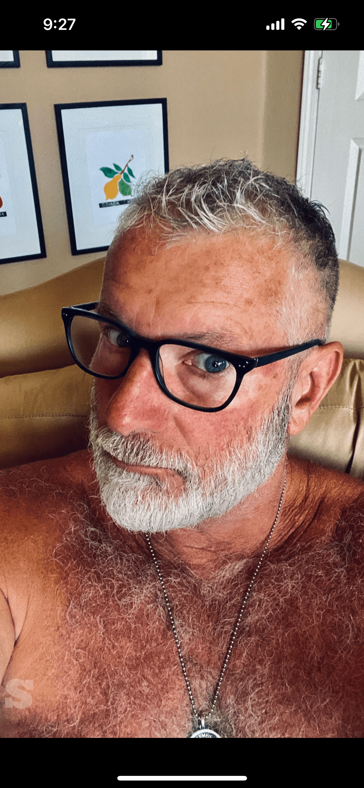 Photo by DirtyDaddyFunStuff with the username @DirtyDaddyPorn, who is a verified user,  May 5, 2024 at 6:02 PM and the text says '#hairy #silver #daddy'