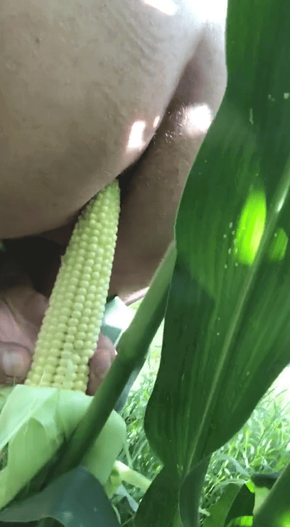 Album by DirtyDaddyFunStuff with the username @DirtyDaddyPorn, who is a verified user,  April 30, 2024 at 10:39 PM and the text says '#Cornhole #fucking #foodfuck #fuck #ass #anal #public #nature #farm #farmer'