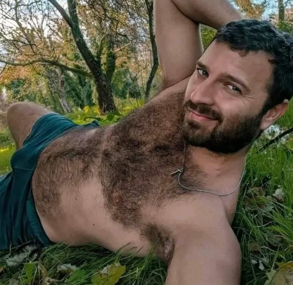 Photo by DirtyDaddyFunStuff with the username @DirtyDaddyPorn, who is a verified user,  April 30, 2024 at 12:58 AM and the text says 'Stud Mix 3 #hairy'