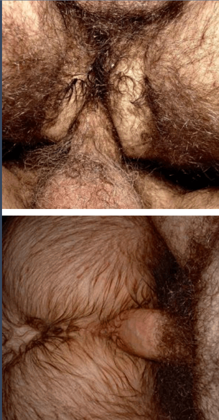 Album by DirtyDaddyFunStuff with the username @DirtyDaddyPorn, who is a verified user,  January 22, 2024 at 7:45 PM and the text says '#hairy and hot men 12'