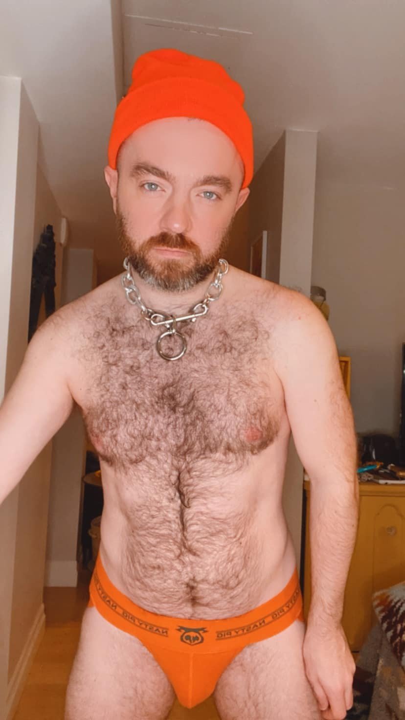 Album by DirtyDaddyFunStuff with the username @DirtyDaddyPorn, who is a verified user,  January 25, 2024 at 1:10 AM and the text says 'Hairy hunks 2'