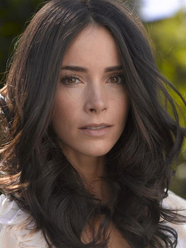 Photo by DfwBiMale with the username @DfwBiMale,  November 10, 2018 at 4:52 AM and the text says 'celebritynakedness:

Abigail Spencer'