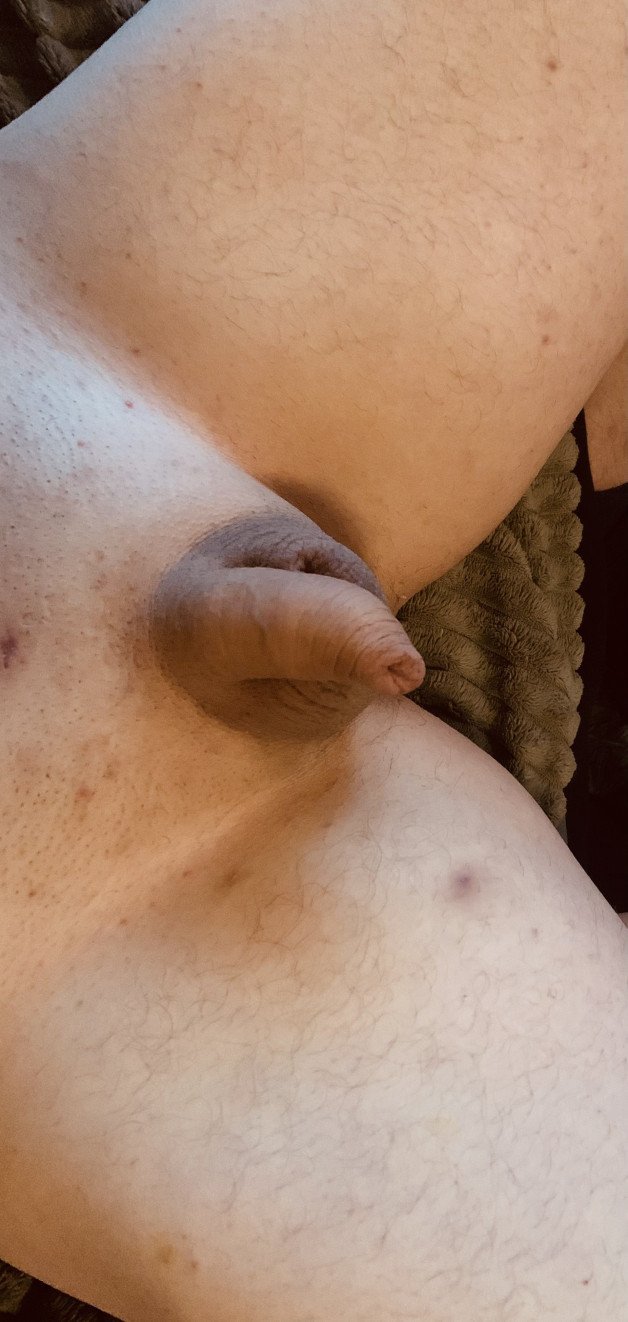 Watch the Photo by Gambleboy with the username @Gambleboy, who is a verified user, posted on January 14, 2024. The post is about the topic Small Cocks. and the text says '#shaved #soft #small #dick #uncut #foreskin'