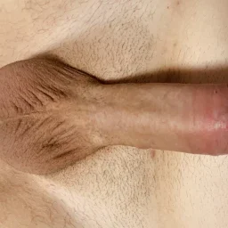 Photo by Gambleboy with the username @Gambleboy, who is a verified user,  April 14, 2024 at 11:03 PM. The post is about the topic Uncut cocks and the text says '#dick #cock #uncut'