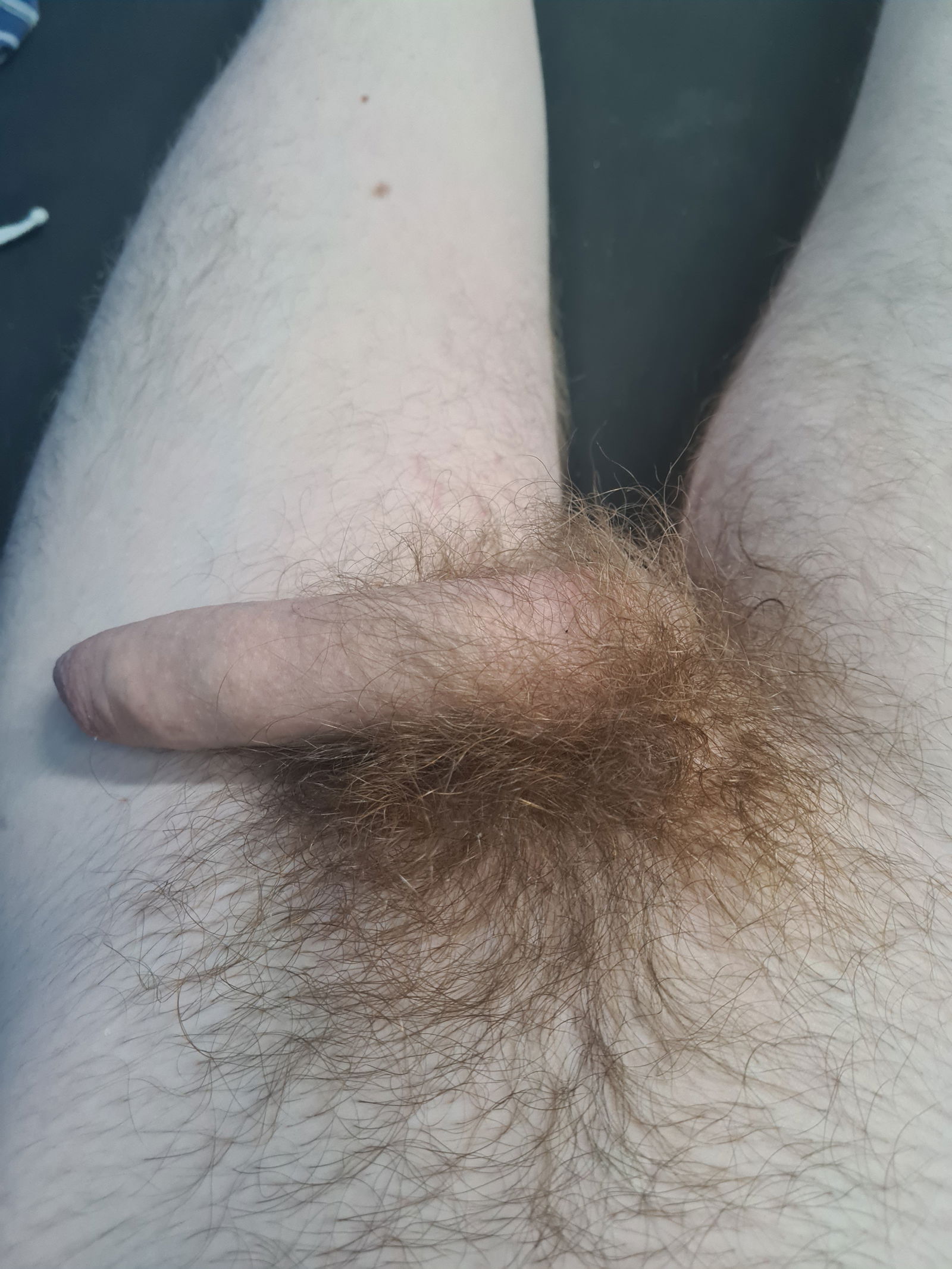 Photo by Unicorn69X with the username @Unicorn69X, who is a verified user,  February 1, 2024 at 7:58 AM. The post is about the topic Gay hairy cocks and the text says '😘❤️😏'