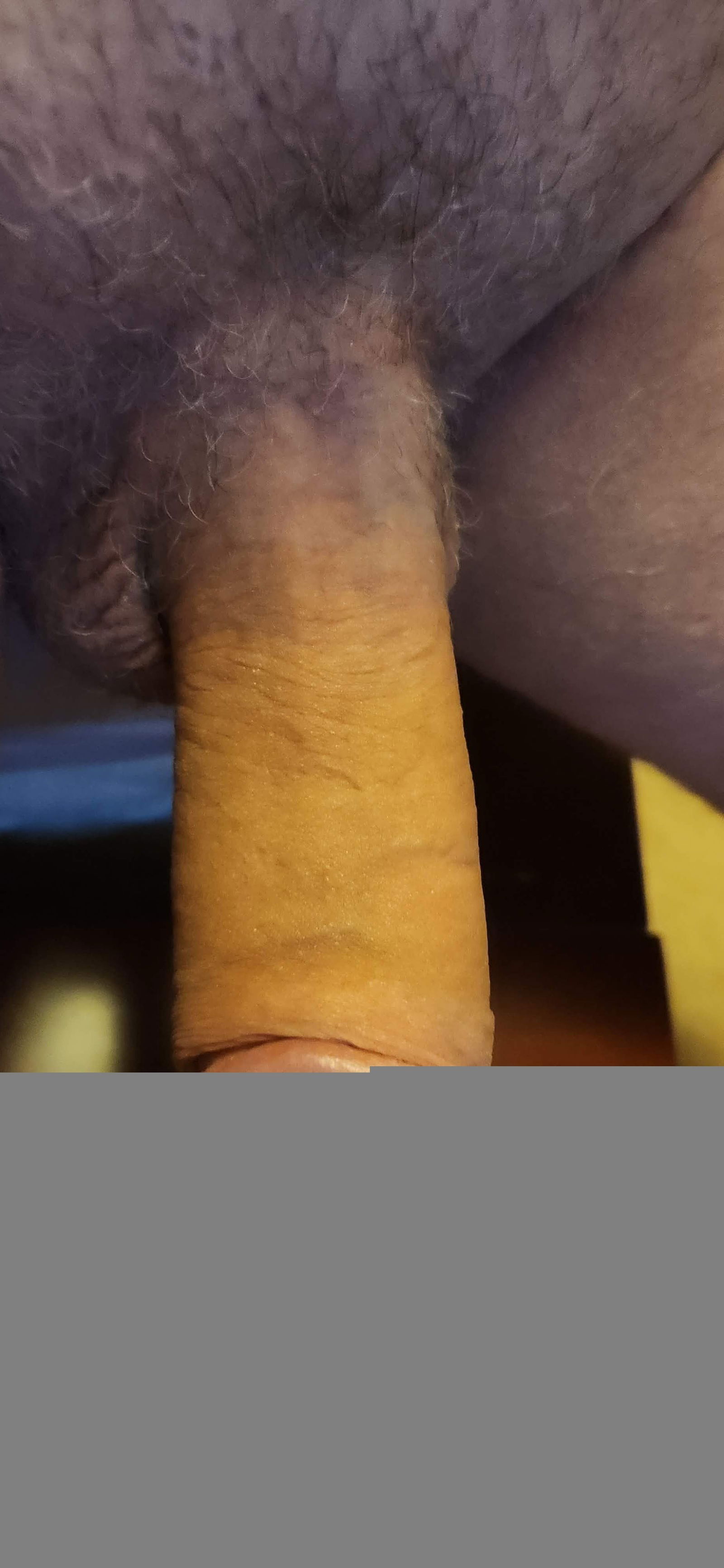 Album by BigRick41 with the username @BigRick41, who is a verified user,  August 29, 2024 at 1:50 PM. The post is about the topic Rate my pussy or dick and the text says 'rate me please'