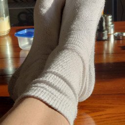 Photo by BearCub & Redwolf with the username @BearCub36, who is a verified user,  April 28, 2024 at 3:21 PM. The post is about the topic Gay socks and the text says 'BearCub socks (2 pics)... 
#gay #bearcub36 #socks #feet #cock #dick #penis #cockring #balls #shaved'