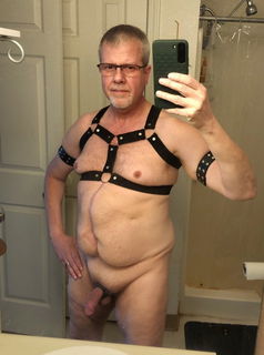 Photo by BearCub & Redwolf with the username @BearCub36, who is a verified user,  September 14, 2024 at 6:57 PM. The post is about the topic Gay Amateur and the text says 'BearCub harnessed..'