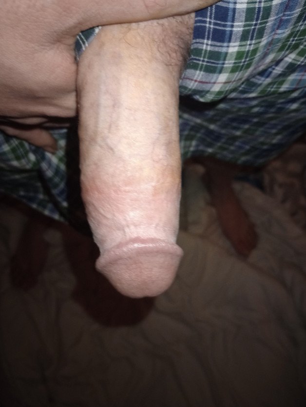 Photo by Henrikbearclaw with the username @Henrikbearclaw, who is a star user,  February 24, 2024 at 8:37 AM. The post is about the topic Rate my pussy or dick