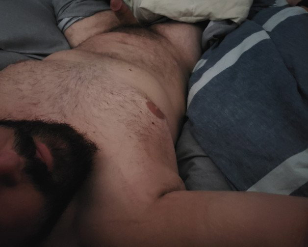 Photo by Nutterbutter with the username @NuttsNButts,  January 16, 2021 at 2:16 PM. The post is about the topic GayTumblr and the text says 'Morning Wood #bears #beardaddy #daddy #hairycock #chubbear #bearchub'