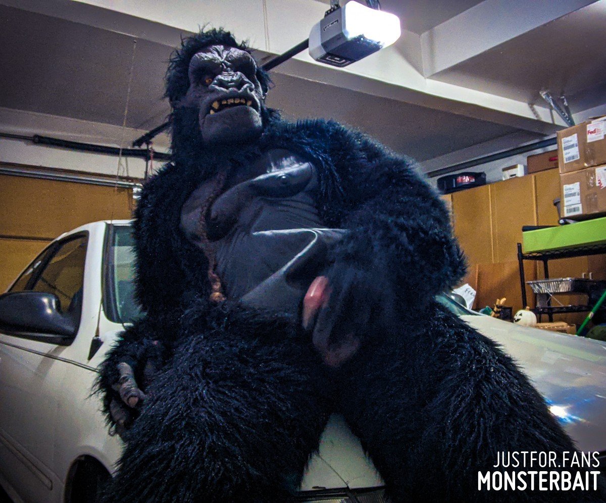 Photo by Monsterbait with the username @Monsterbait, who is a star user,  January 30, 2022 at 5:08 PM. The post is about the topic GayExTumblr and the text says 'Get those gorilla suits filthy you damn dirty apes!
It's a national holiday tomorrow!🦍🍌💦

#NationalGorillaSuitDay #fetish #Mask #SeductiveSunday #Monstersex #eroticart #monster #ape #gorilla #costume #cosplay #erotica #men #man #gay #photo #furry..'