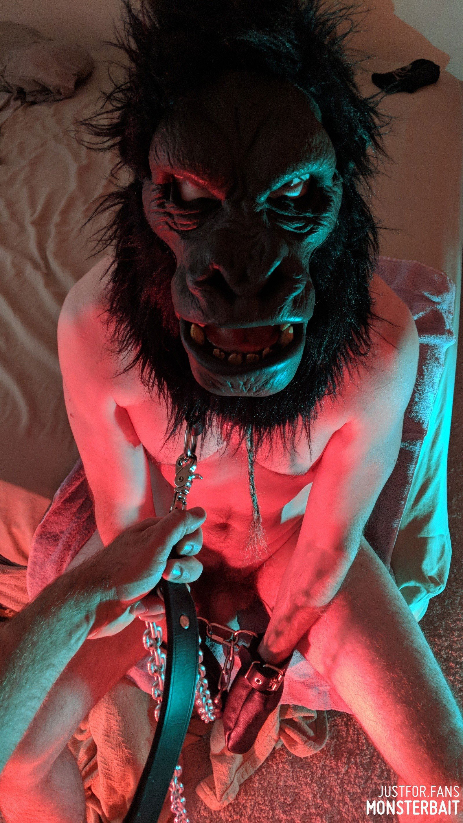 Album by Monsterbait with the username @Monsterbait, who is a star user,  September 25, 2024 at 9:57 AM. The post is about the topic GayExTumblr and the text says 'It&#039;s Gorilla Day and I didn&#039;t put it in my calendar! So, here are a few fun shots over the years!'