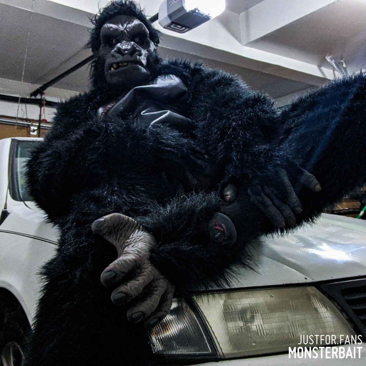 Photo by Monsterbait with the username @Monsterbait, who is a star user,  January 30, 2022 at 5:08 PM. The post is about the topic GayExTumblr and the text says 'Get those gorilla suits filthy you damn dirty apes!
It's a national holiday tomorrow!🦍🍌💦

#NationalGorillaSuitDay #fetish #Mask #SeductiveSunday #Monstersex #eroticart #monster #ape #gorilla #costume #cosplay #erotica #men #man #gay #photo #furry..'