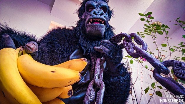 Photo by Monsterbait with the username @Monsterbait, who is a star user,  March 4, 2022 at 10:49 PM. The post is about the topic GayExTumblr and the text says 'Here take these bananas and.... 
[ inserts witty remarks here ] 
🦍🍌⛓️ 

Big release for our tier 2 subscribers on JFF!

#gorilla #ape #monster #monsterbait #kinky #fetish #photography #pinup #chains #costume #cosplay #mask #monkey #beastman #photo..'