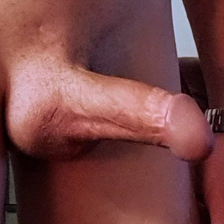 Photo by Webslinger with the username @Webslinger, who is a verified user,  October 3, 2024 at 1:55 AM and the text says '#nsfw #hellosharesome #dick #cock #circumcised #shaved #boner #erection #amateur #ratemydick #ratemypussyordick'