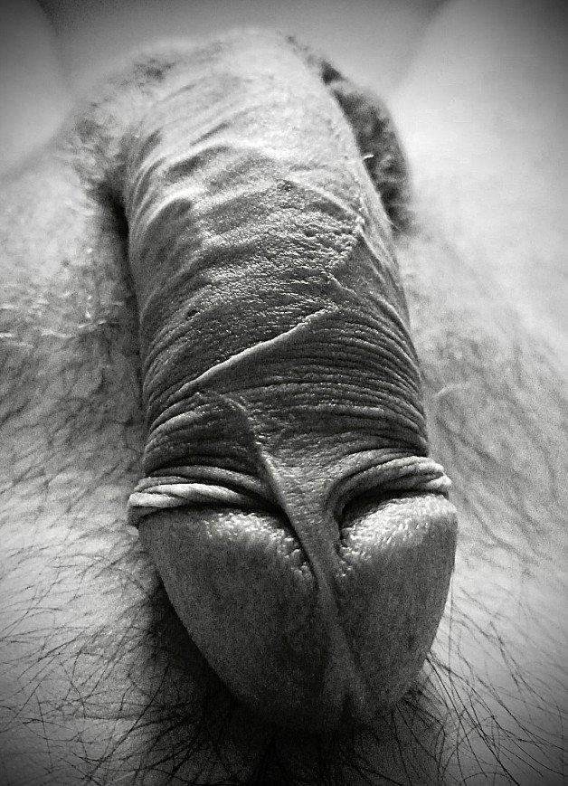 Photo by Voyeur-always with the username @Voyeur-always, who is a verified user,  September 30, 2024 at 3:14 PM. The post is about the topic Black and White Erotica and the text says 'His cock...waiting to be devoured #cock'