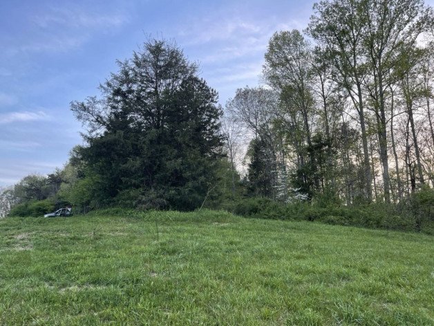 Photo by Lookingfor39 with the username @Lookingfor39,  May 7, 2021 at 10:20 PM. The post is about the topic Landscape scenery and the text says 'We just bought 6 acres here in east ten. we' ll have pics to post soon !!'