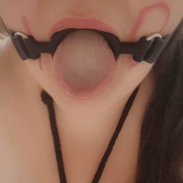 Album by PC the Toy with the username @SluttyPC, who is a verified user,  August 14, 2024 at 7:51 AM. The post is about the topic Amateurs and the text says 'My Dom set me a task to write &#039;100&#039; across my face when I got over 100 followers !!!

Thanks for following this Slut !!'