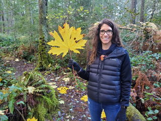 Photo by happijack with the username @happijack, who is a verified user,  September 14, 2024 at 4:00 PM and the text says 'She found a big leaf'